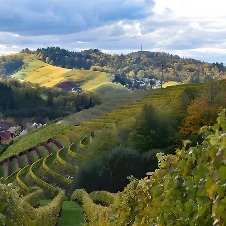 Relax Oase 사스바흐발덴